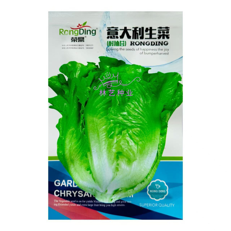 意大利生菜种子生吃脆甜生菜耐热耐寒耐抽苔阳台盆栽四季蔬菜