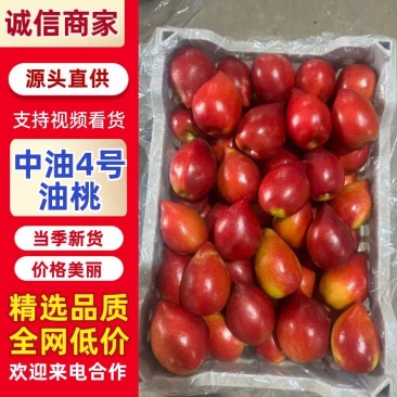 冠县大棚油桃，大量现货，支持电商平台商超供货