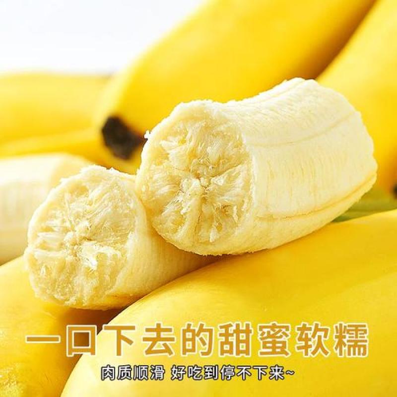 高山甜香蕉新鲜水果当季现摘大芭蕉小米蕉甜香蕉整箱自然熟