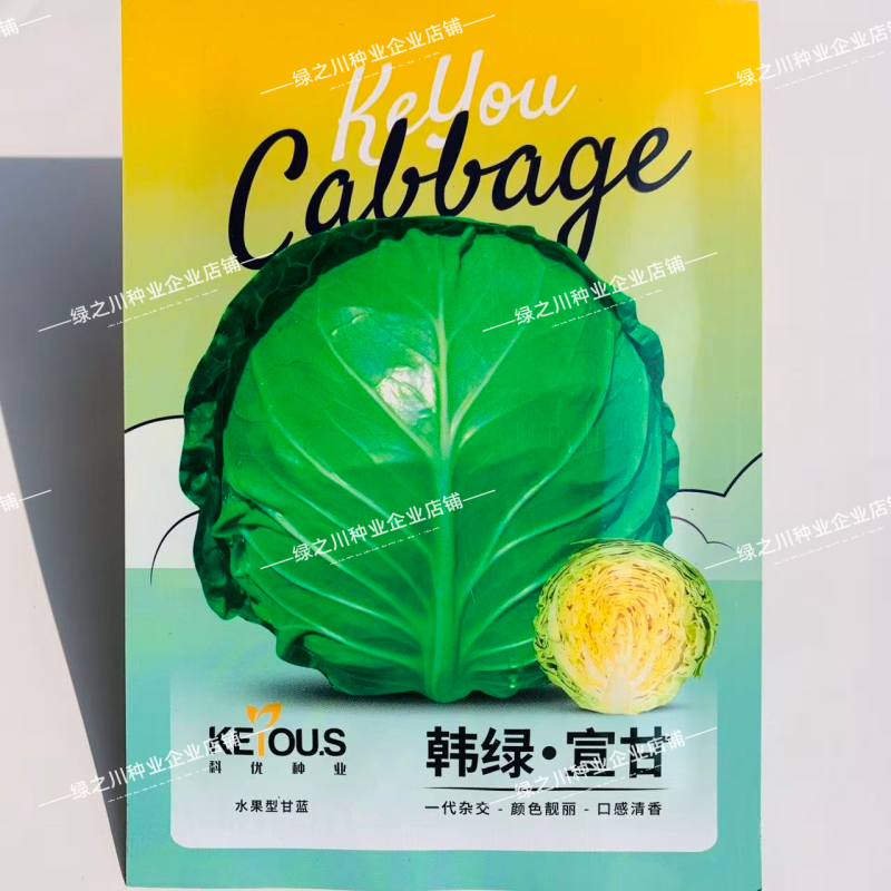韩绿萱甘水果甘蓝种子外球全绿黄芯甘蓝种子甜脆耐裂包心菜种