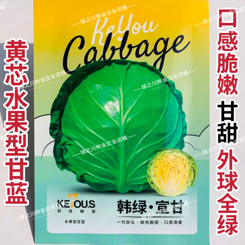 韩绿萱甘水果甘蓝种子外球全绿黄芯甘蓝种子甜脆耐裂包心菜种