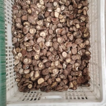 产地直发干香菇