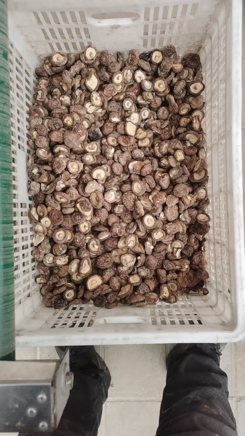 产地直发干香菇