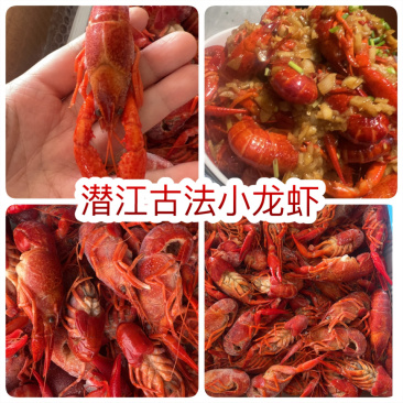 潜江古法小龙虾地摊电商批发清水小龙虾液氮锁鲜小龙虾
