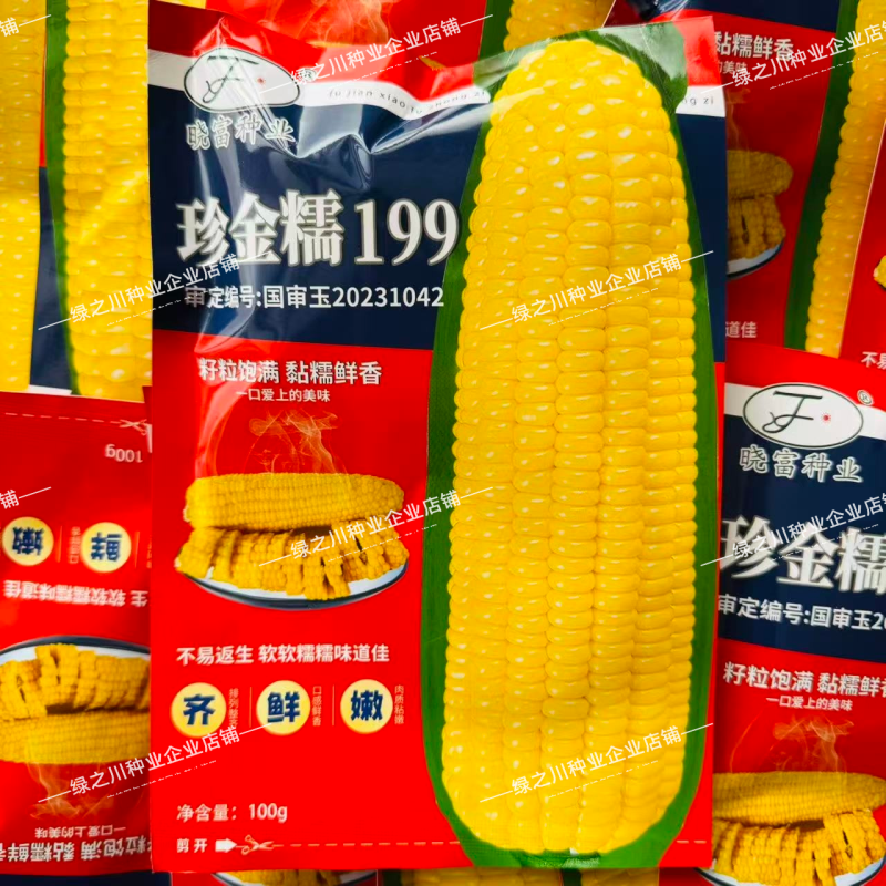黄糯玉米种子珍金糯199玉米种籽黄色糯玉米种子绿皮大棒软