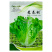 意泰利耐抽苔生菜种子散叶生菜耐热耐湿生菜种籽四季蔬菜种孑