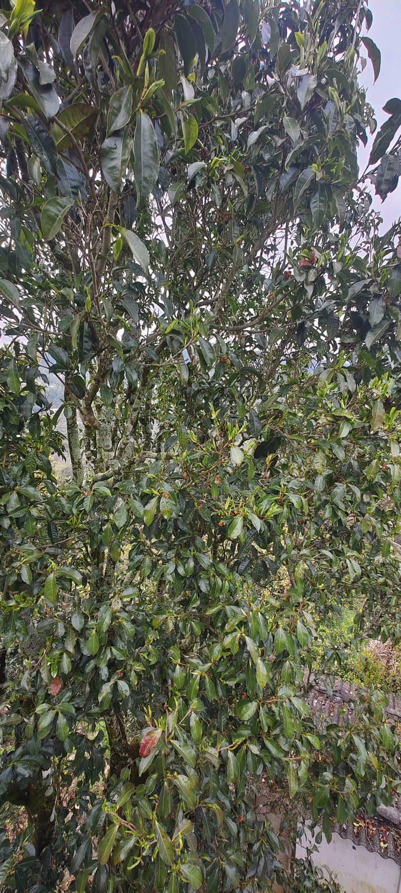 等待老板
