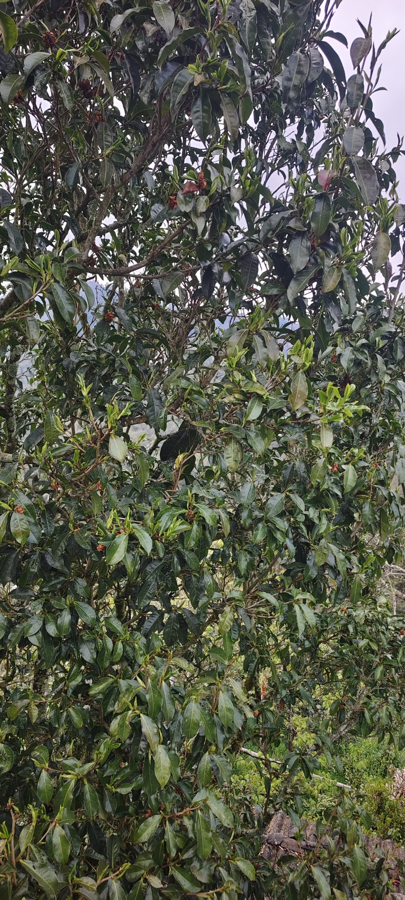 等待老板