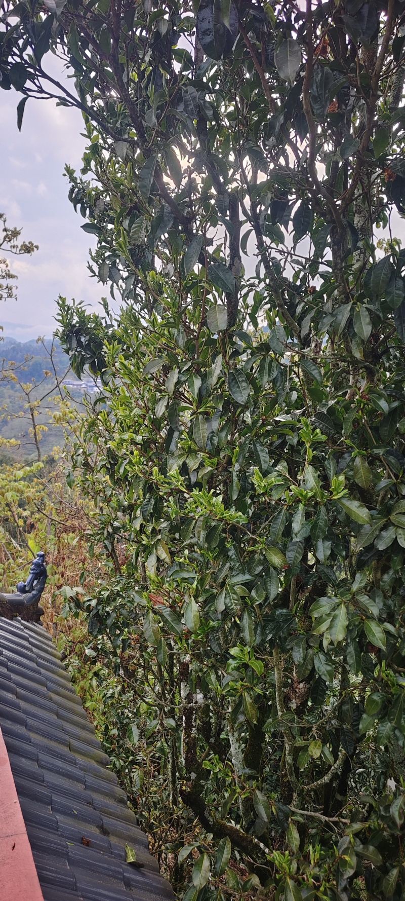 等待老板