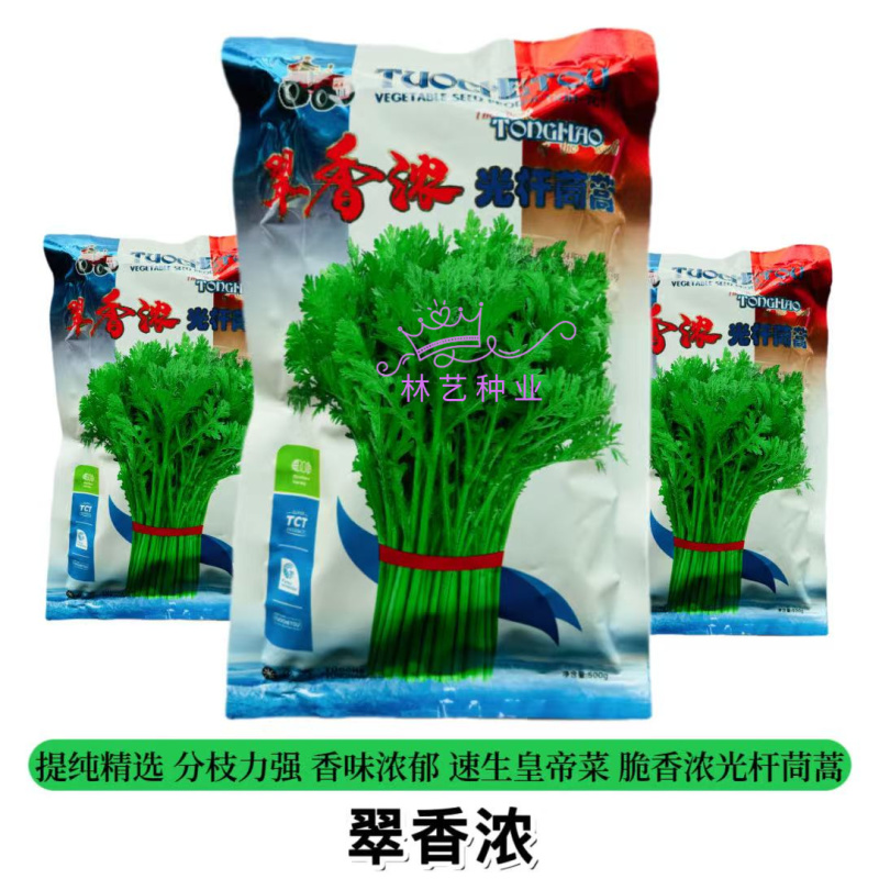 翠香浓光杆茼蒿种子蓬蒿菜种籽高产速生皇帝菜菜种四季青菜蔬