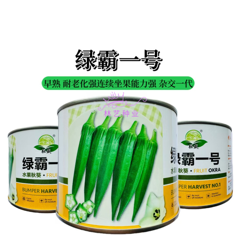绿霸一号水果秋葵种子生长速度快产量高正宗蔬菜种子庭院露地