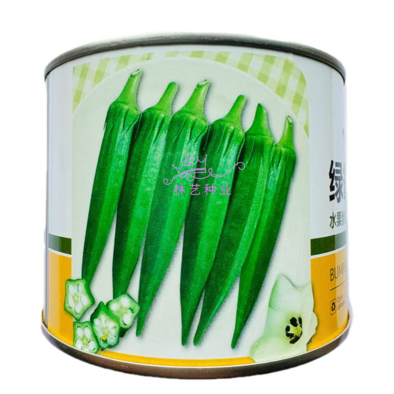 绿霸一号水果秋葵种子生长速度快产量高正宗蔬菜种子庭院露地