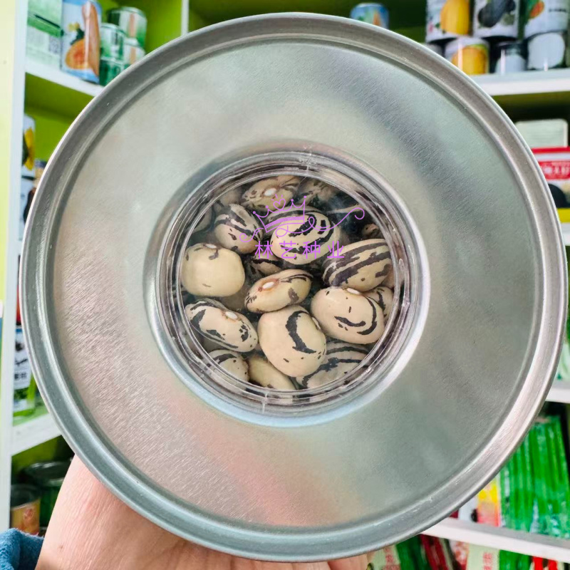 大紫花油豆种子早熟结荚多耐老化无纤维油豆种子东北油豆角种