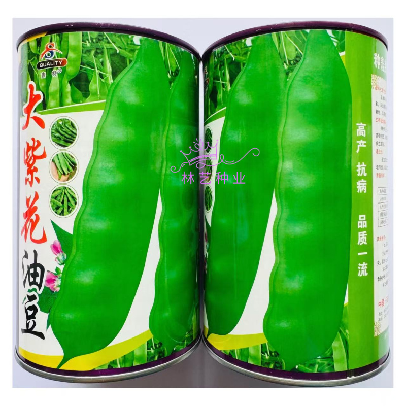 大紫花油豆种子早熟结荚多耐老化无纤维油豆种子东北油豆角种