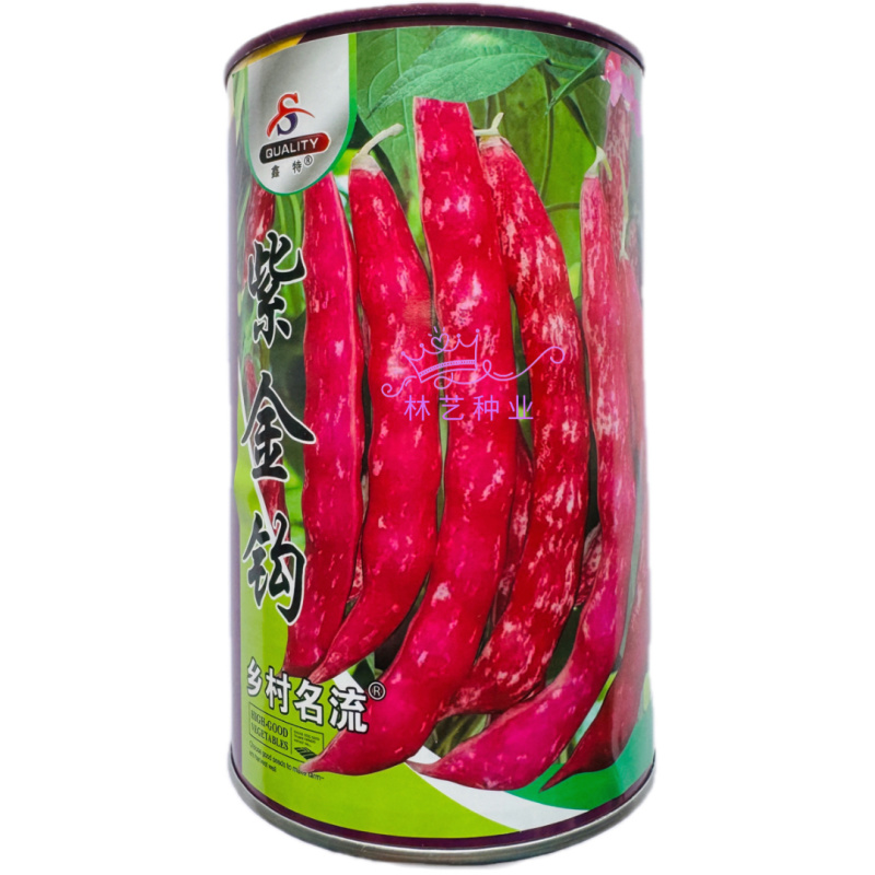 紫金钩豆角种子高产架豆东北金钩种籽芸豆蔬菜春秋四季大棚播