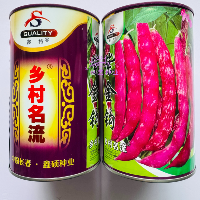 紫金钩豆角种子高产架豆东北金钩种籽芸豆蔬菜春秋四季大棚播