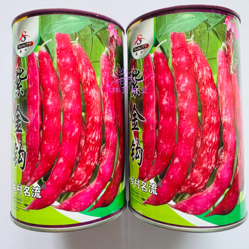 紫金钩豆角种子高产架豆东北金钩种籽芸豆蔬菜春秋四季大棚播