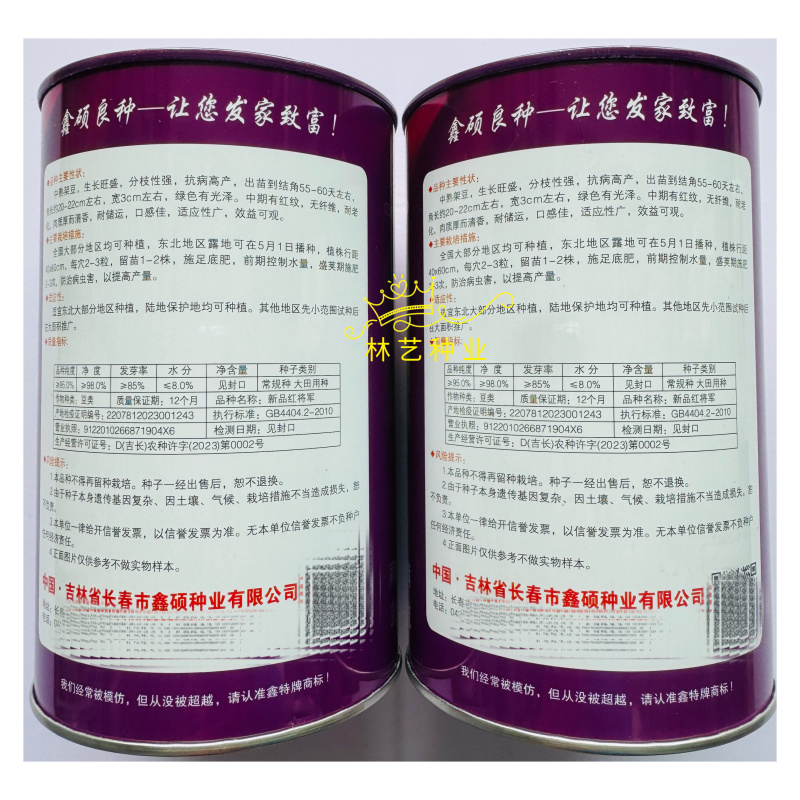 新品红将军油豆种子无筋无柴东北油豆种子耐老化肉厚清香油豆
