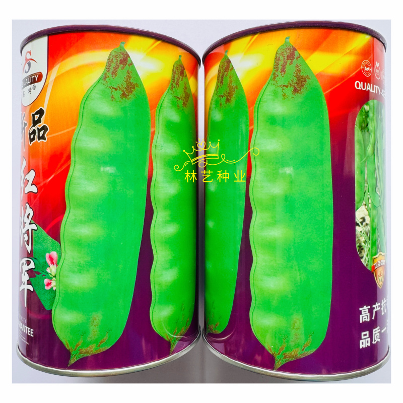 新品红将军油豆种子无筋无柴东北油豆种子耐老化肉厚清香油豆