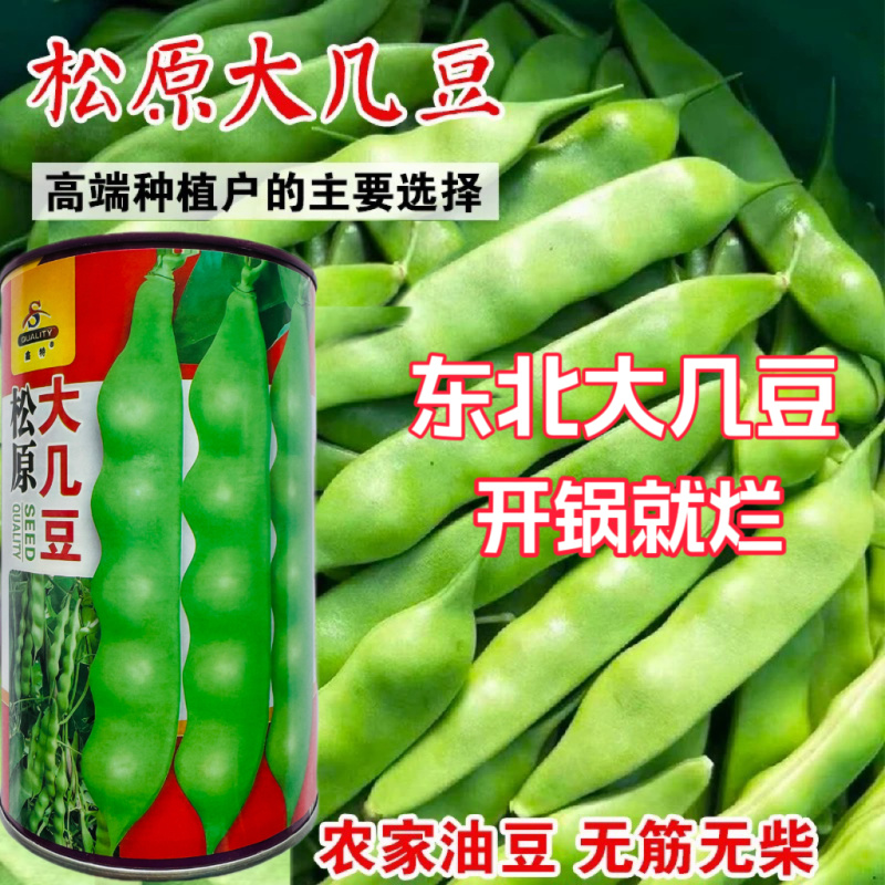 松原大几豆油豆角种子农家菜油豆角籽面糊好吃架豆鼓豆新籽