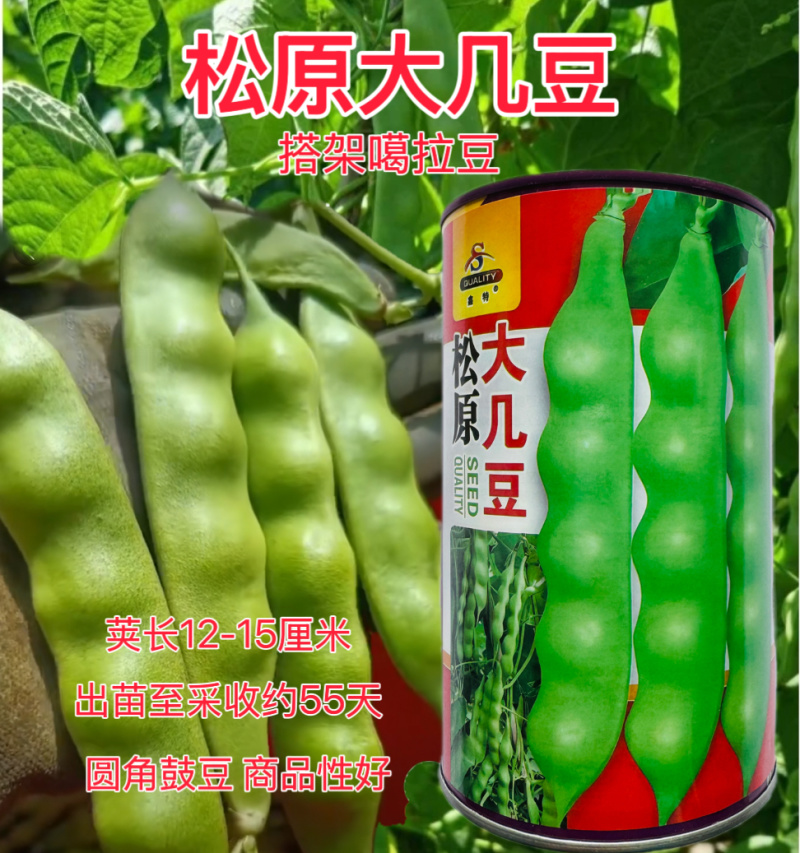 松原大几豆油豆角种子农家菜油豆角籽面糊好吃架豆鼓豆新籽