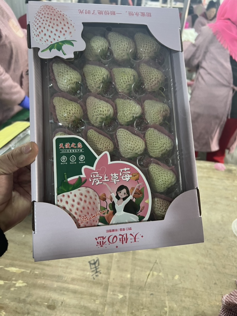 白草莓芊雪梦之莹越雪妃