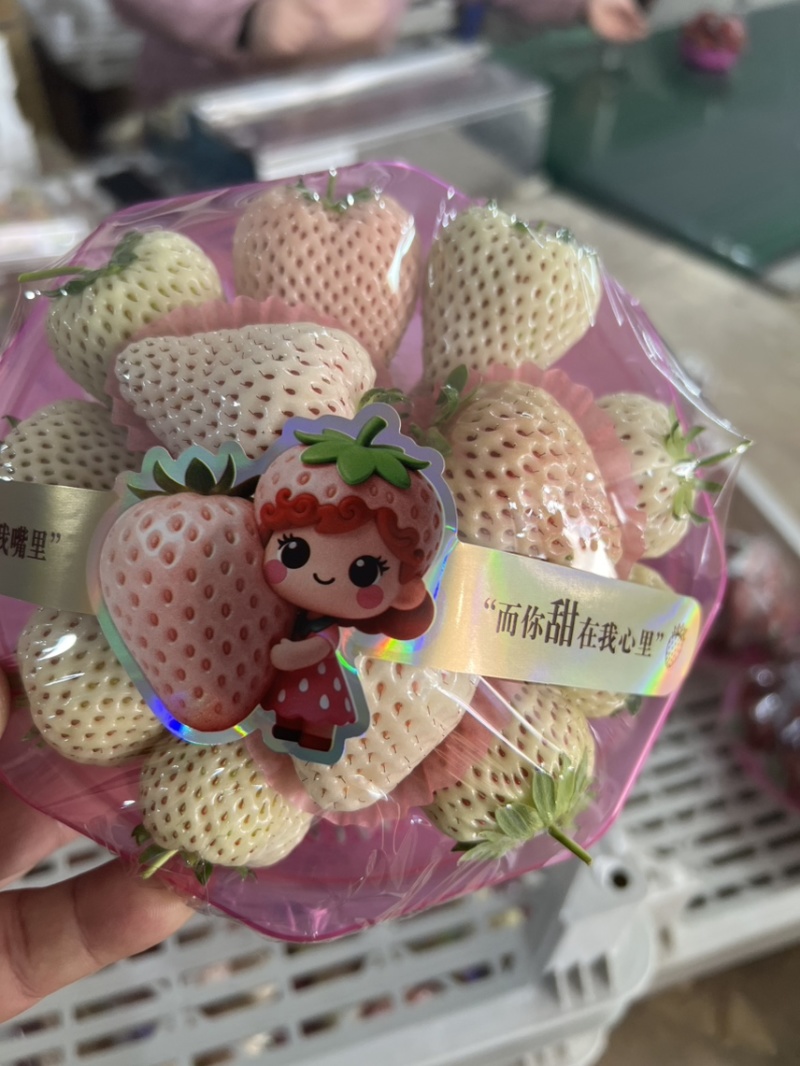 白草莓芊雪梦之莹越雪妃