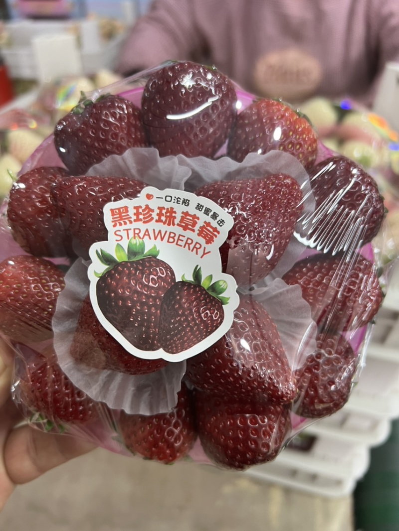 白草莓芊雪梦之莹越雪妃