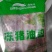 猪油边一件起发冷链物流直达