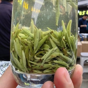 明前雨花茶、云雾茶