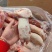 二级蹄