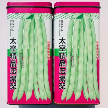 压塌架芸豆种子早熟高产抗病四季豆角架豆种子豆角种子