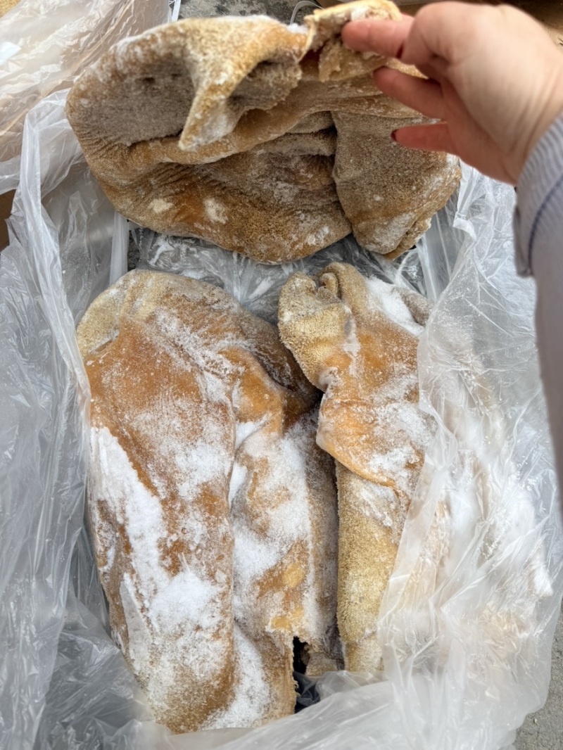 纯干牛肚支持样品！一件也是批发价格！