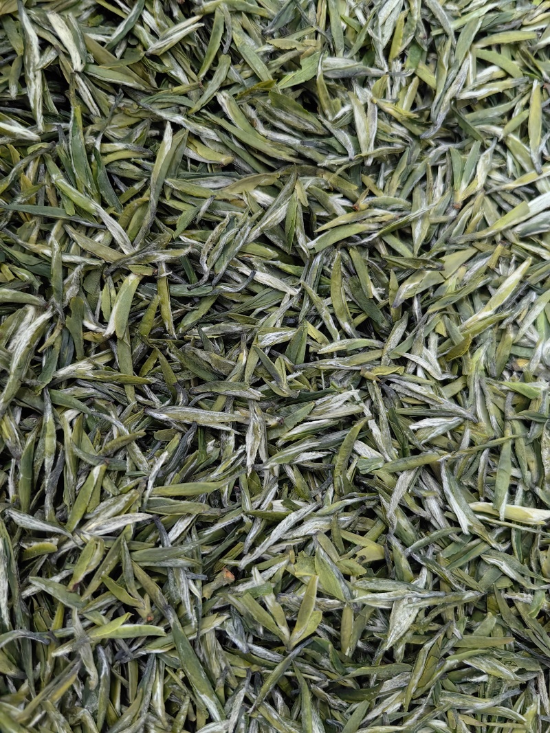 明前131雨花、云雾茶