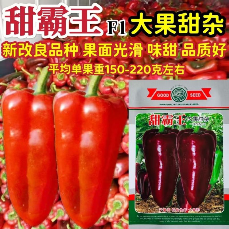 甜椒种子万农甜霸王大果甜椒种子圆锥形红椒种子青红两用