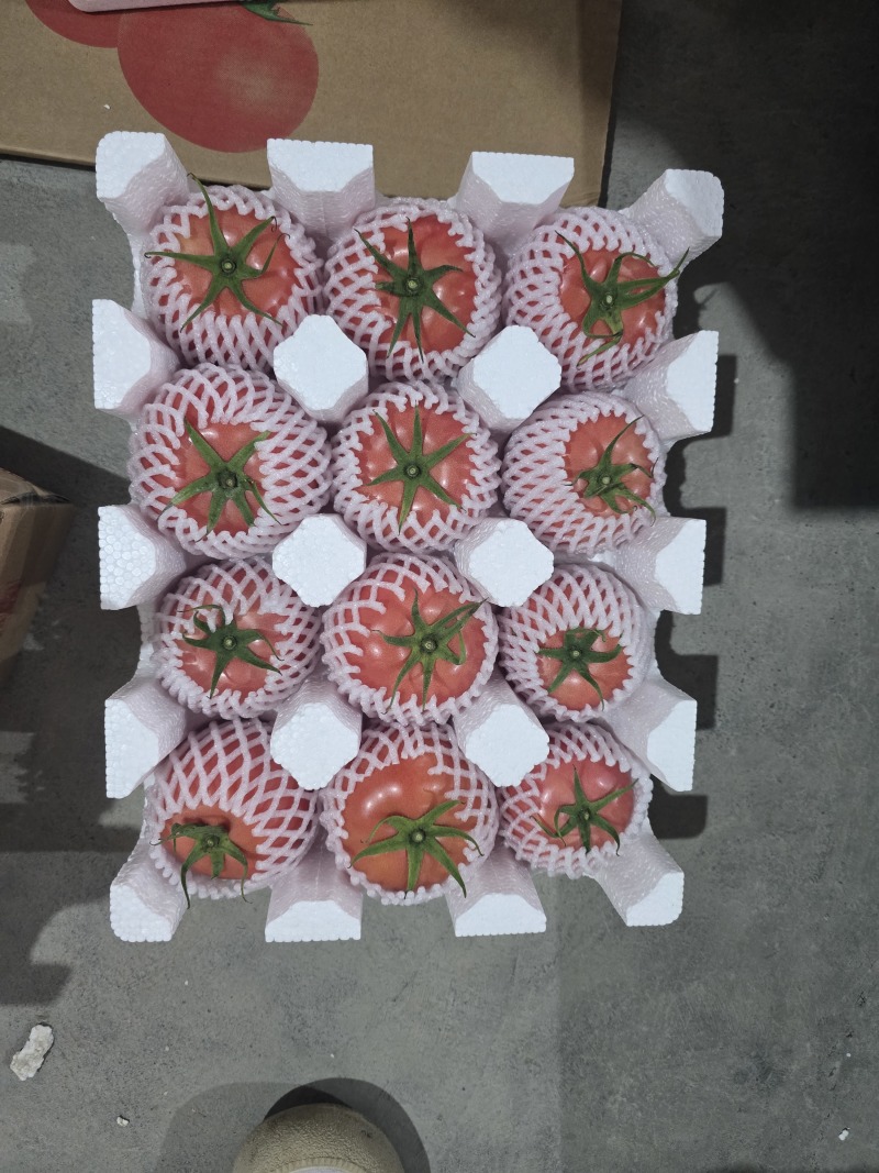 半口感硬粉大番茄