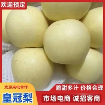 精品皇冠梨，半斤以上，果面干净，对接电商平台超市，团购