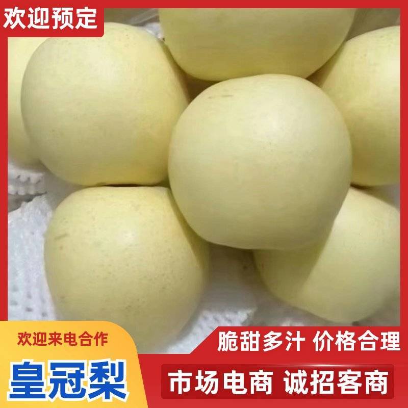 精品皇冠梨，半斤以上，果面干净，对接电商平台超市，团购