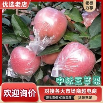中秋王苹果，个大，口感好现摘现发欢迎采购