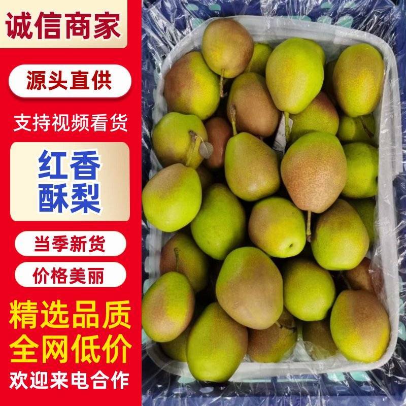 红香酥梨，供应电商，酥脆可口，颜色好质量保证欢迎采购