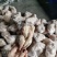 200-300克西装鸡
