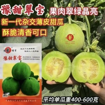 甜瓜种子绿如意绿宝薄皮甜瓜种籽杂交高产早熟甜瓜种子基地用