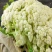 山东松花菜新鲜脆嫩散花菜基地直供批发品质上乘
