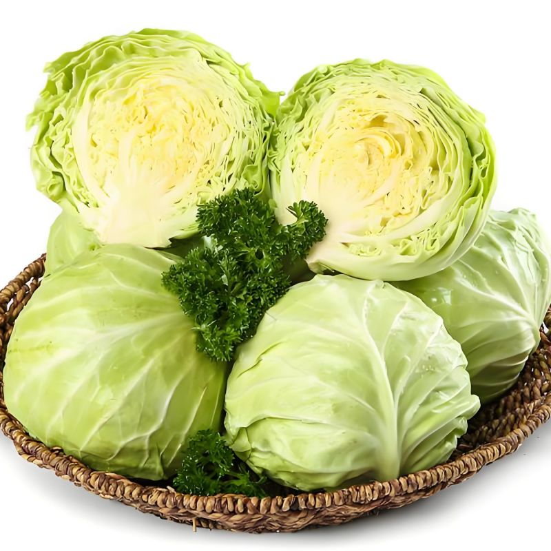 山东精品甘蓝大棚露天软甘新鲜现采产地直供蔬菜批发货源充足