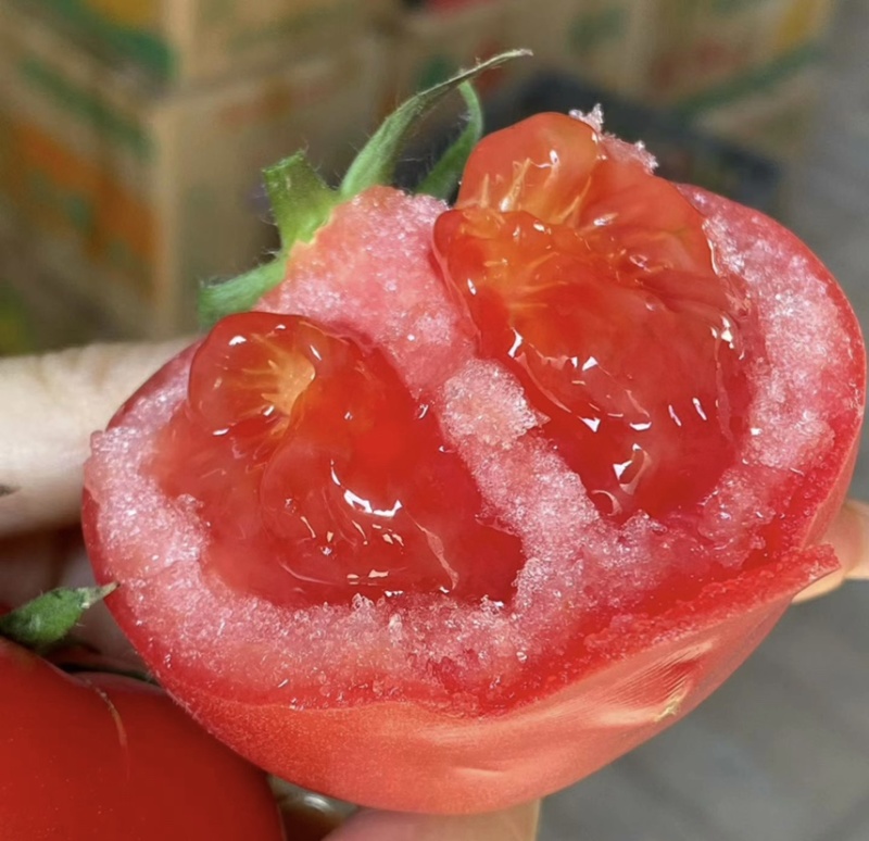 陕西泾阳普罗旺斯水果西红柿