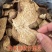 陈皮新会批发价断皮广东陈皮老陈皮陈皮碎陈皮干500g