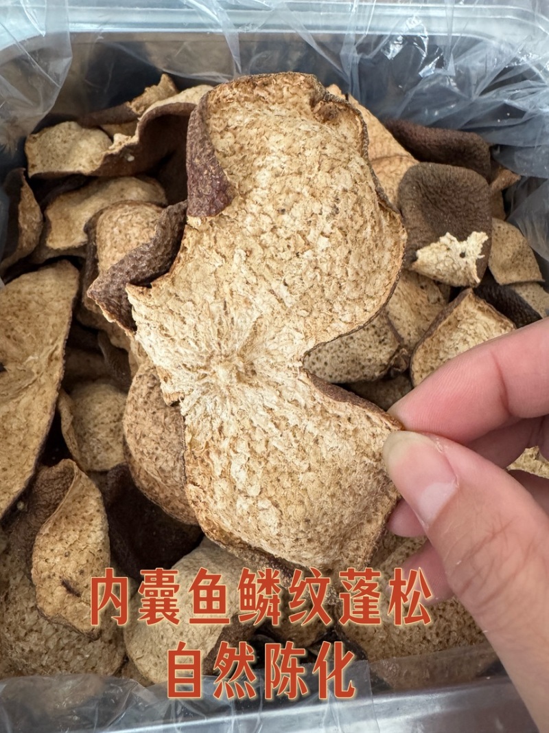 陈皮新会批发价断皮广东陈皮老陈皮陈皮碎陈皮干500g