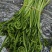 水蕨菜野生蕨菜基地直供，量大从优，一件代发，欢迎来电洽谈