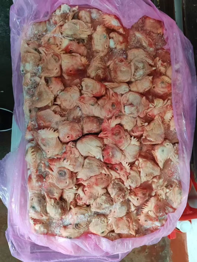 大板鸡头