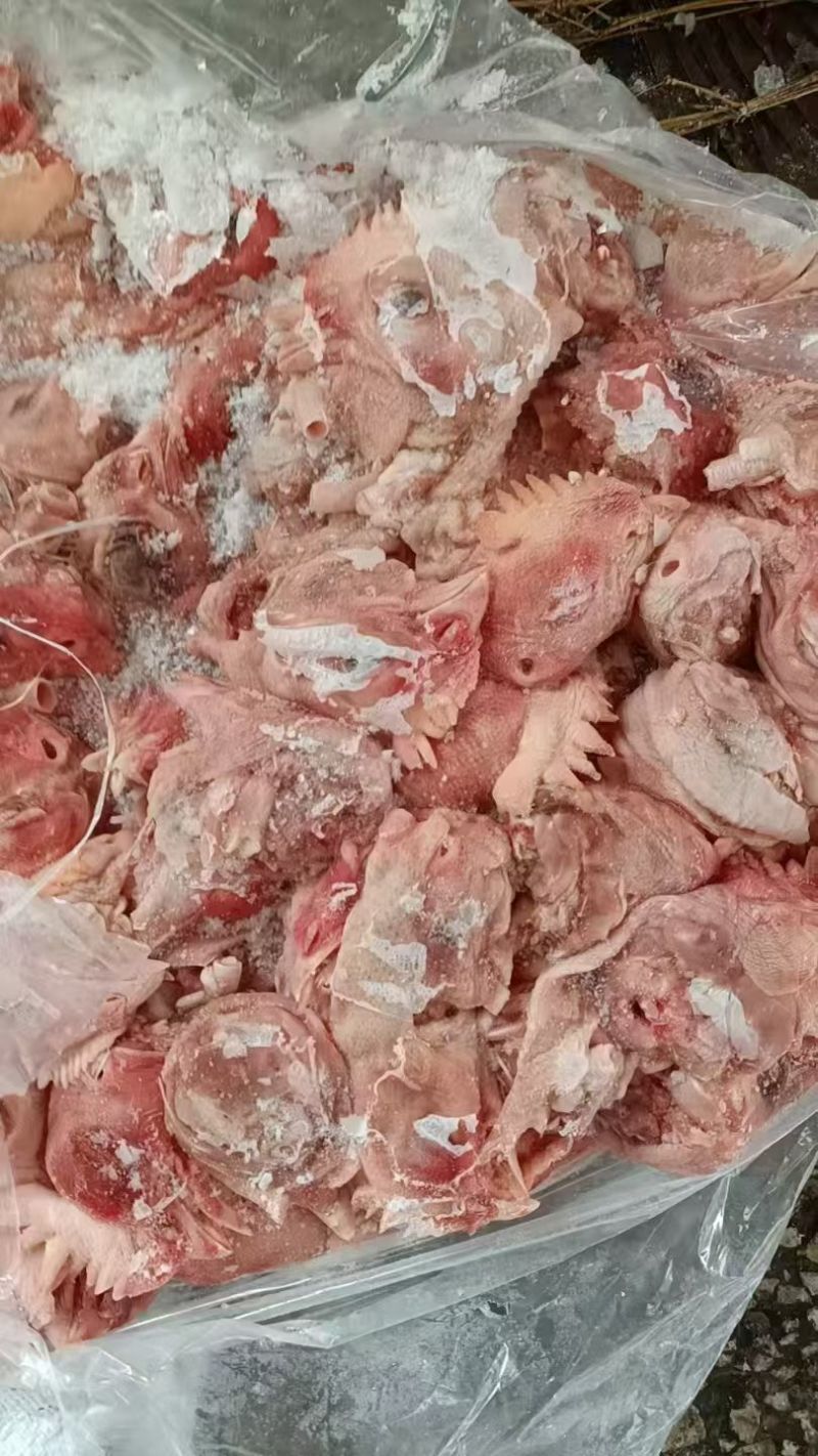 大板鸡头